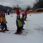 phoca_thumb_m_lye- 4.2.  8 Fotogalerie